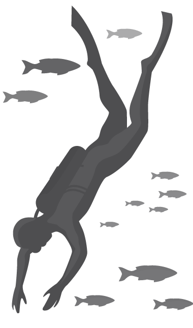 open water 2