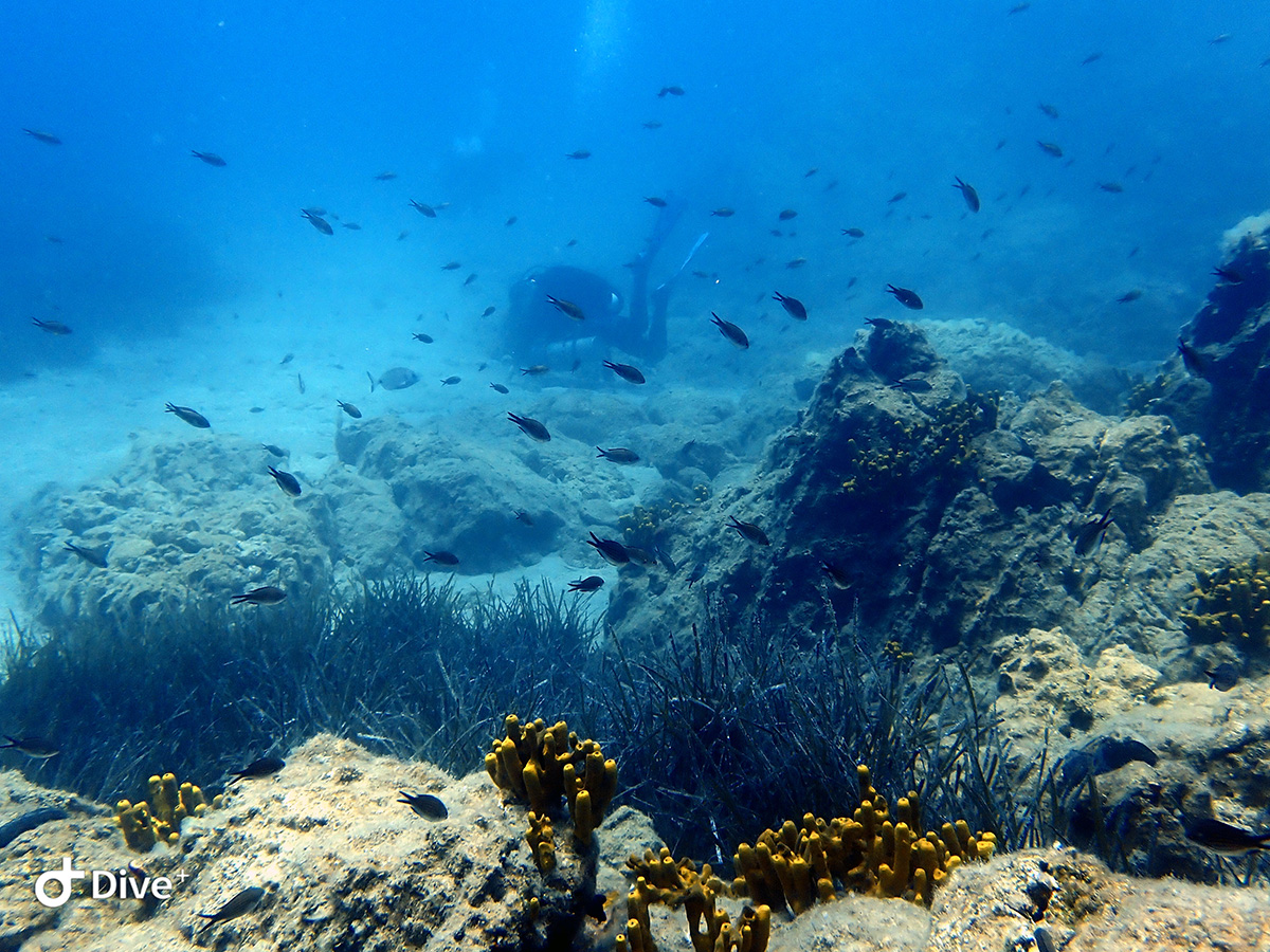 Patmos reefs 003