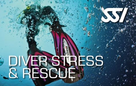 Stress & Rescue